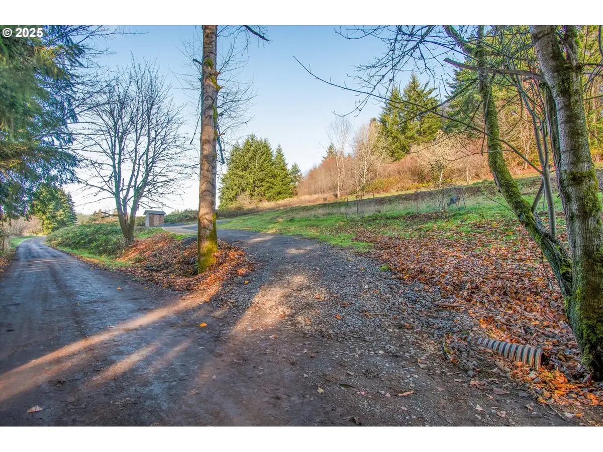 110 Lenora Ln, Kelso, WA 98626 - #1