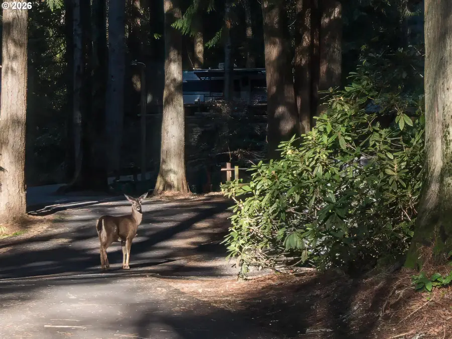 32700 SE Leewood Ln #57R, Boring, OR 97009 - Image #3