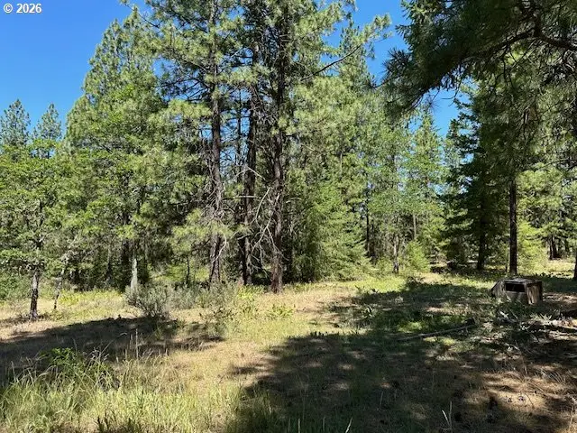 41 Timber Dr, Goldendale, WA 98620 - #2