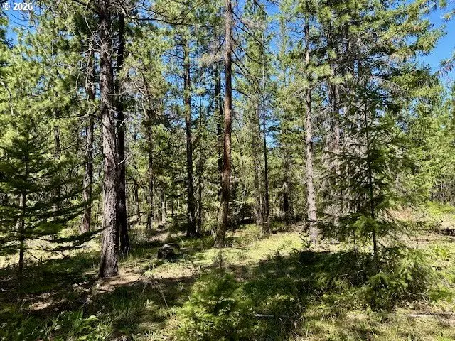 41 Timber Dr, Goldendale, WA 98620 - #3