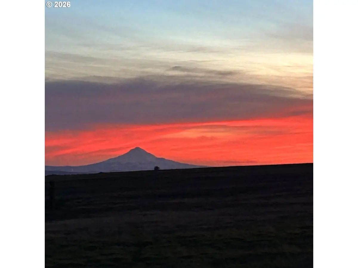 Dot Rd #1, Bickleton, WA 99322 - #1