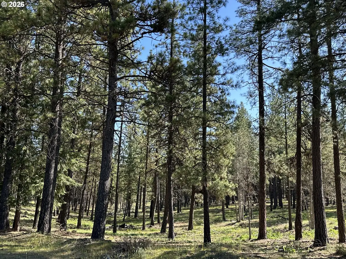 495 Mcnickols Rd, Goldendale, WA 98620 - #1