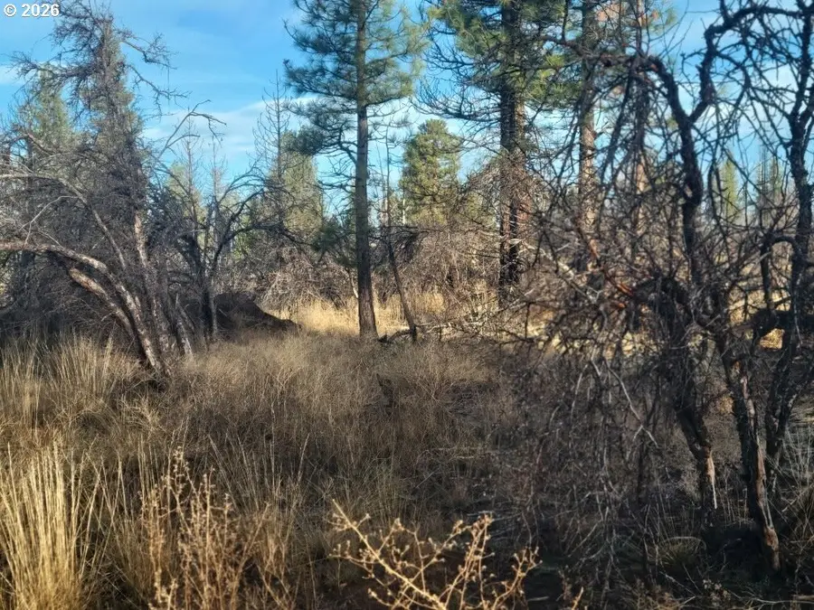 Block 106 #2, Bonanza, OR 97623 - Image #3