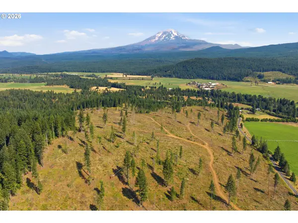 0 Little Mountain Rd, TroutLake, WA 98650