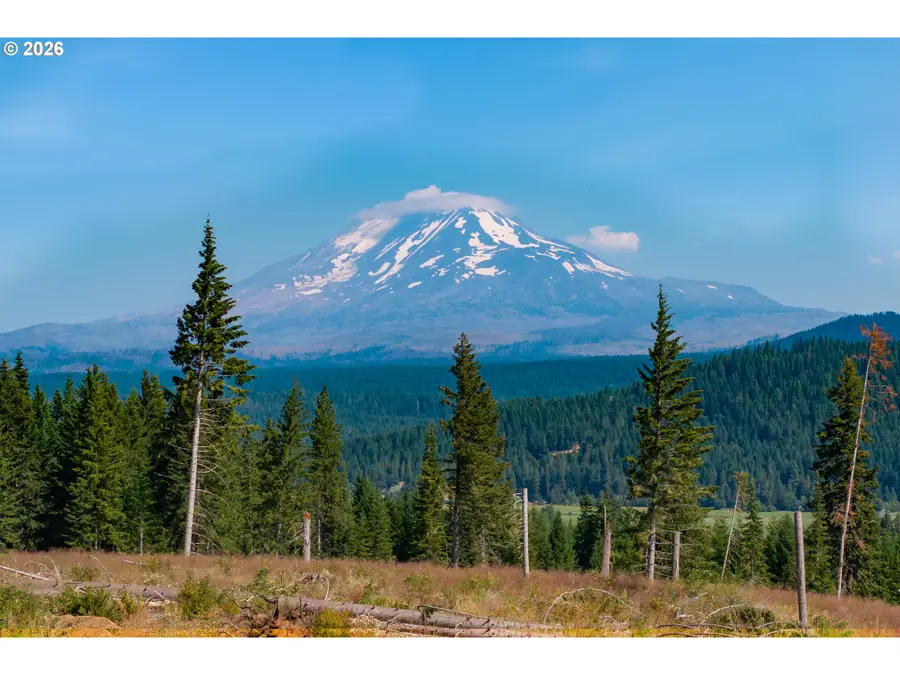 0 Little Mountain Rd, Trout Lake, WA 98650 - #2