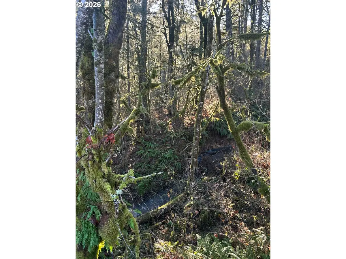 Rock Creek Rd #1, Sheridan, OR 97378 - Image #1