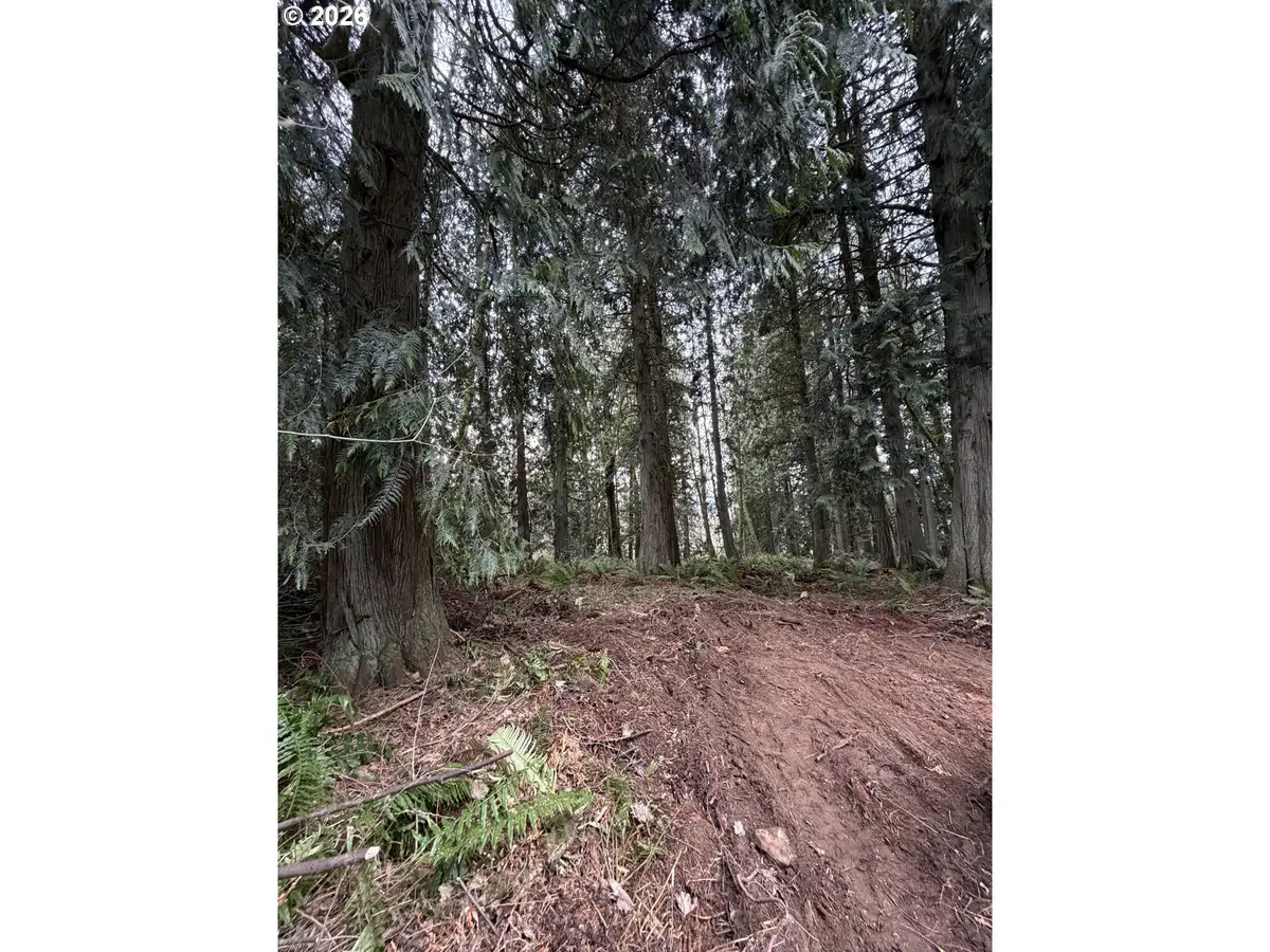 Meserve Rd, Rainier, OR 97048 - #1