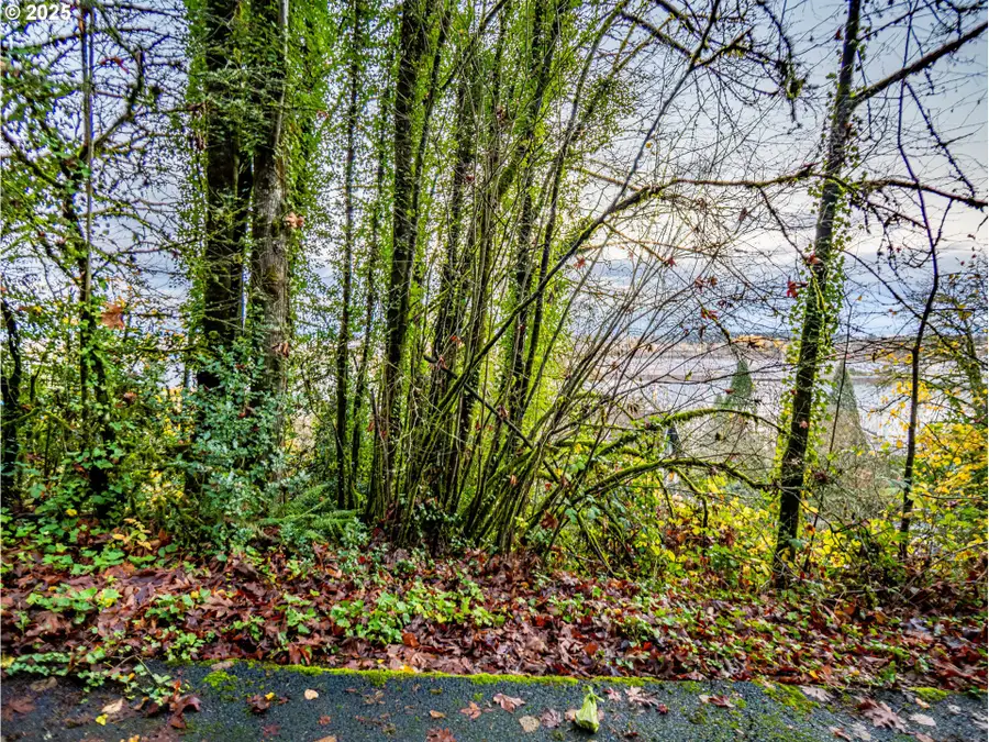 9991 NW Wilark Ave W, Portland, OR 97231 - Image #3