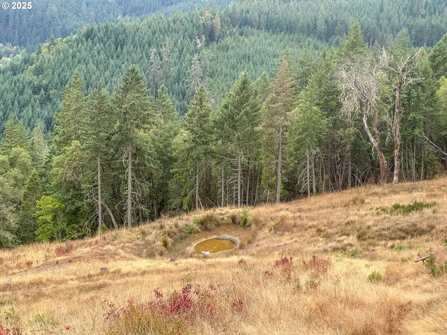 584 Buzz Mountain Ln, Roseburg, OR 97471 - #3