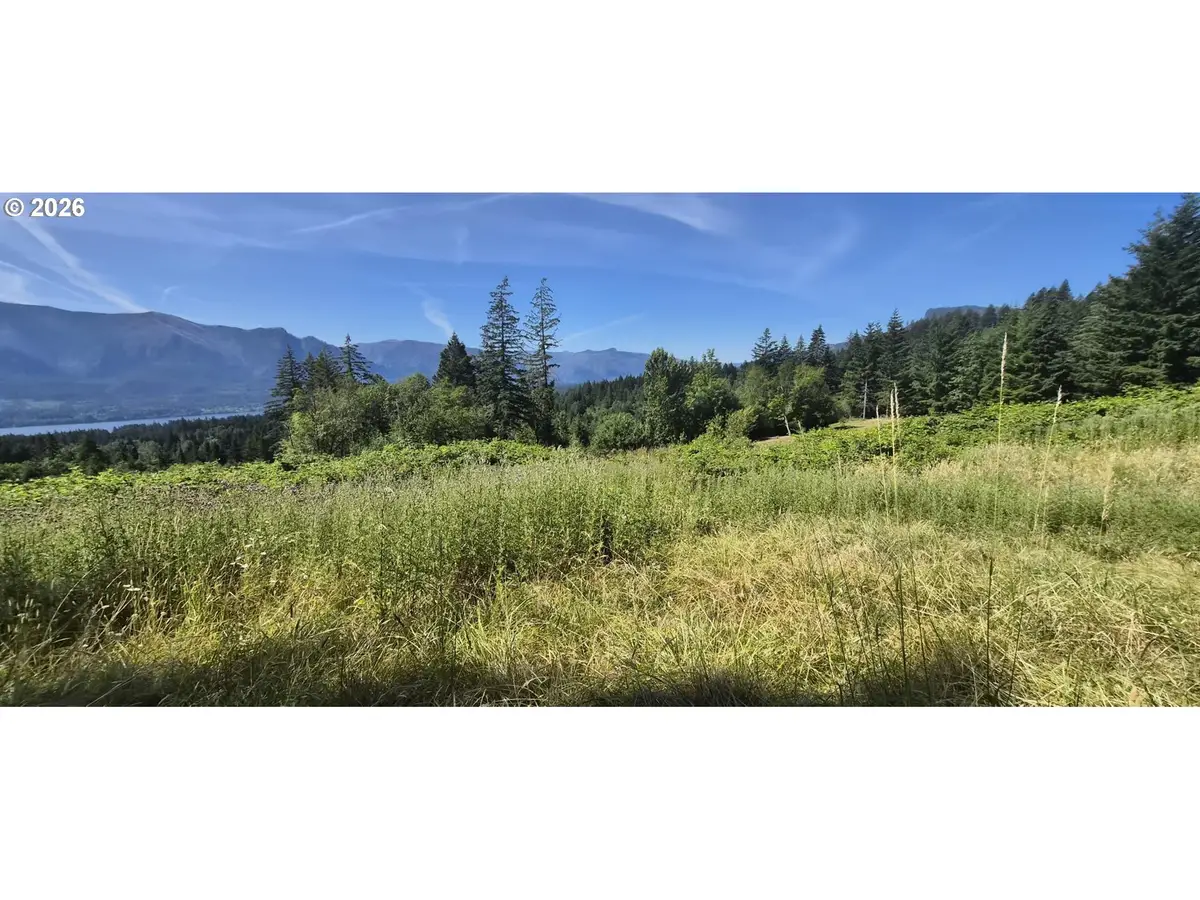 1811 E Loop Rd, Stevenson, WA 98648 - #1