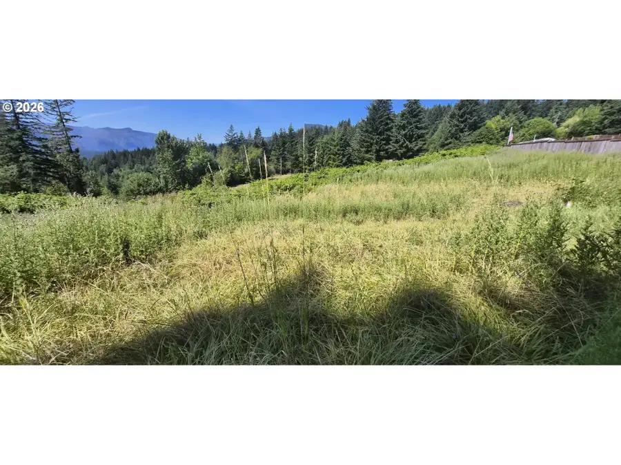 1811 E Loop Rd, Stevenson, WA 98648 - #3