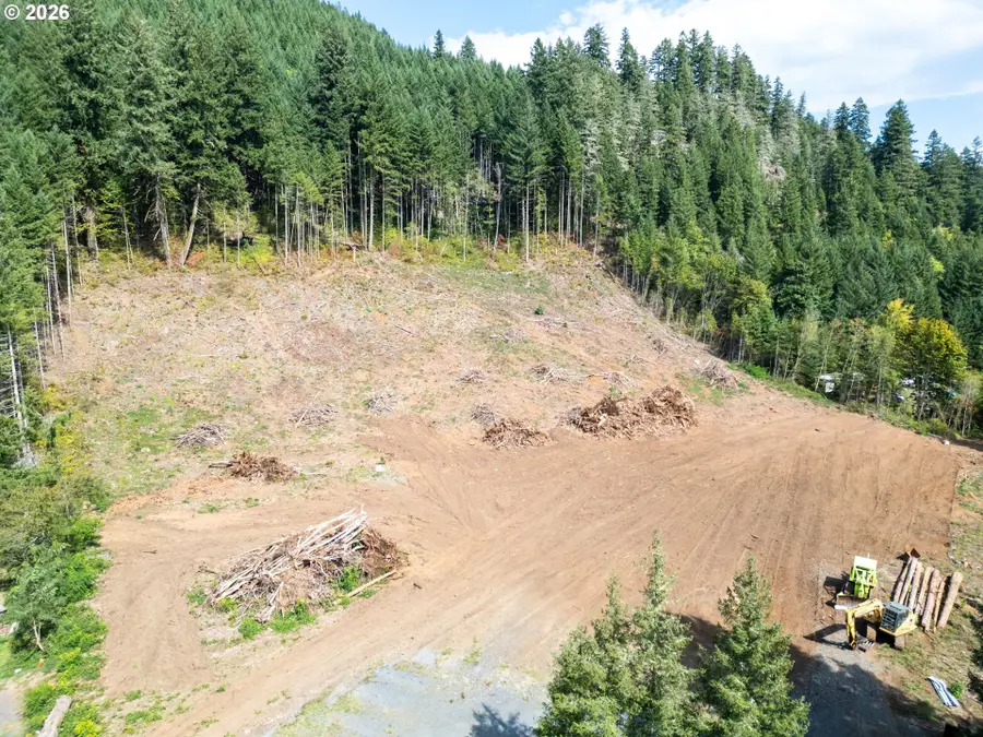 44829 Quartzville Rd, Foster, OR 97345 - #3