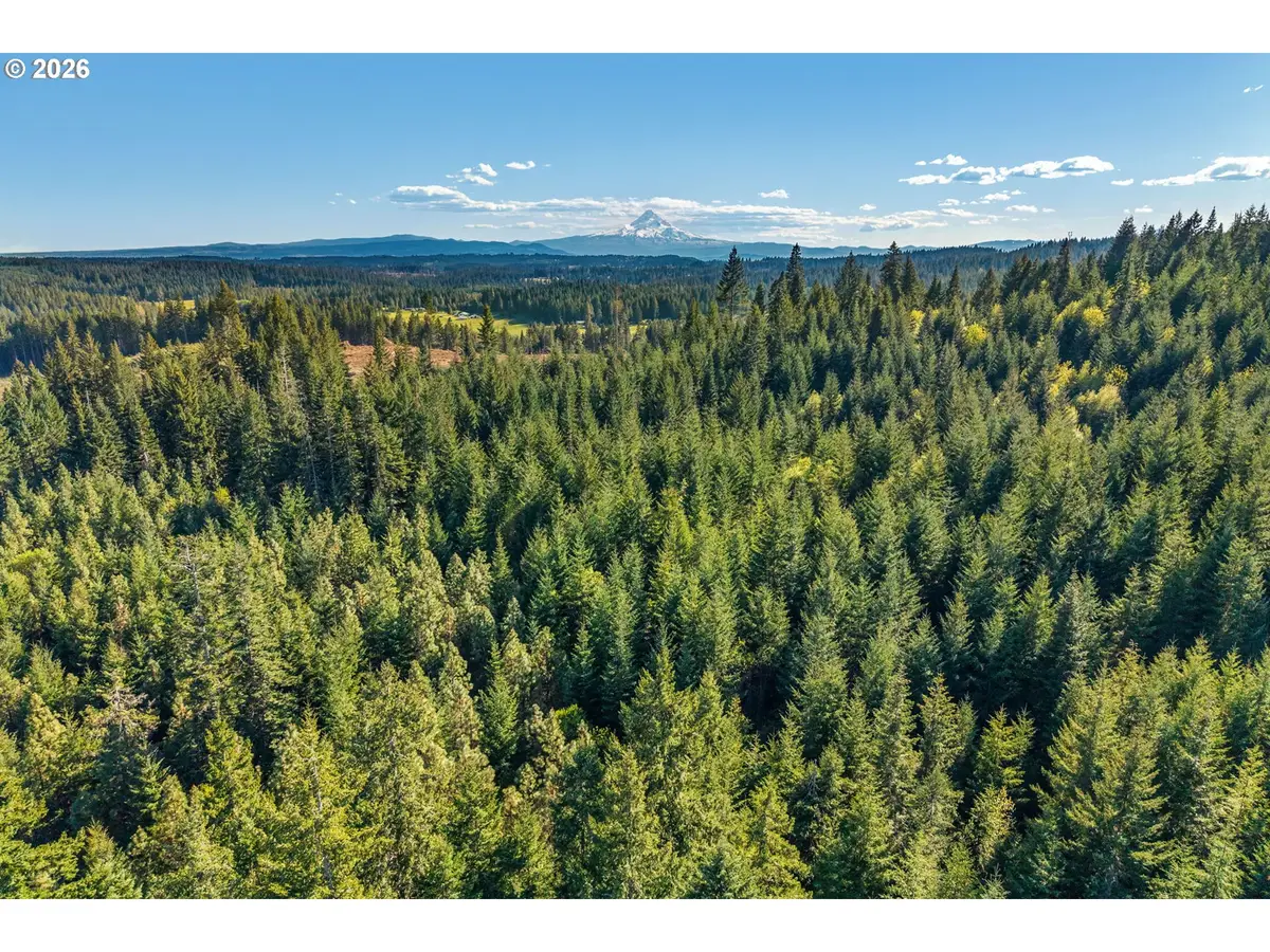 0 Snowden, White Salmon, WA 98672 - #1
