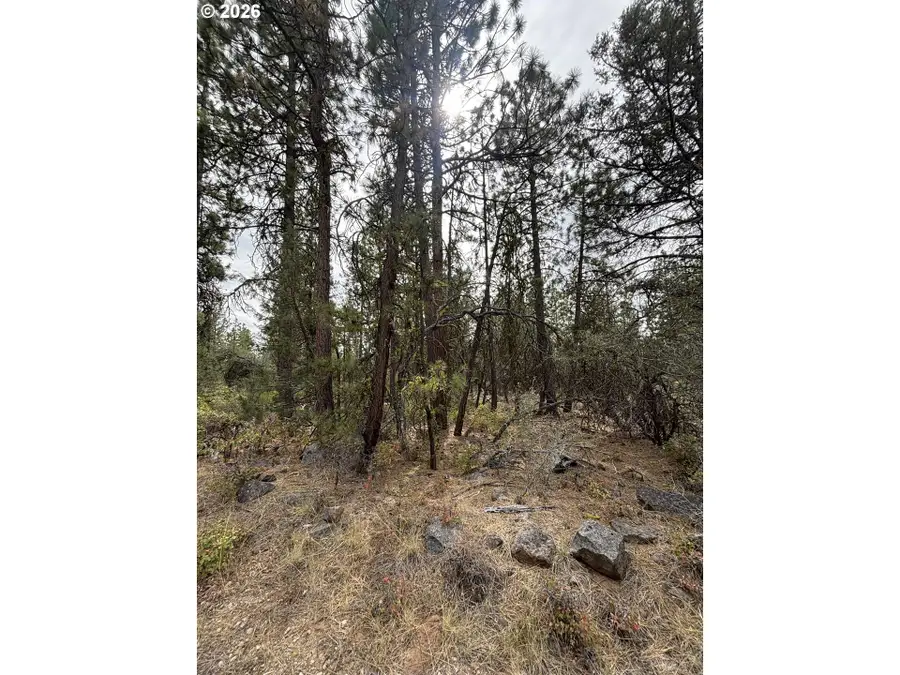 Bunting Dr, Bonanza, OR 97623 - #2