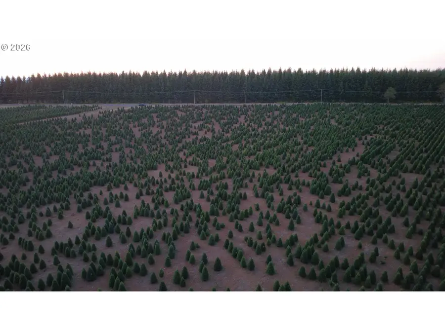 SE Beavercreek Rd, Colton, OR 97017 - #3