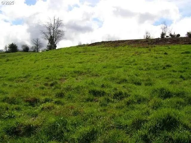 Skyview, Tillamook, OR 97141 - #2