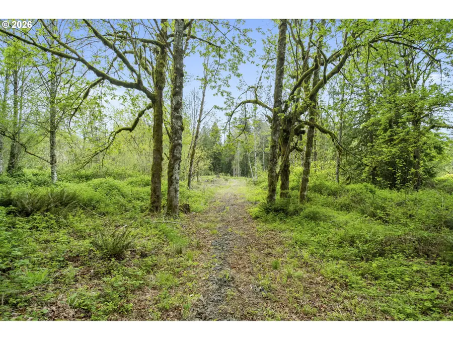 34403 NE Lewisville Hwy #1, Yacolt, WA 98675 - #3