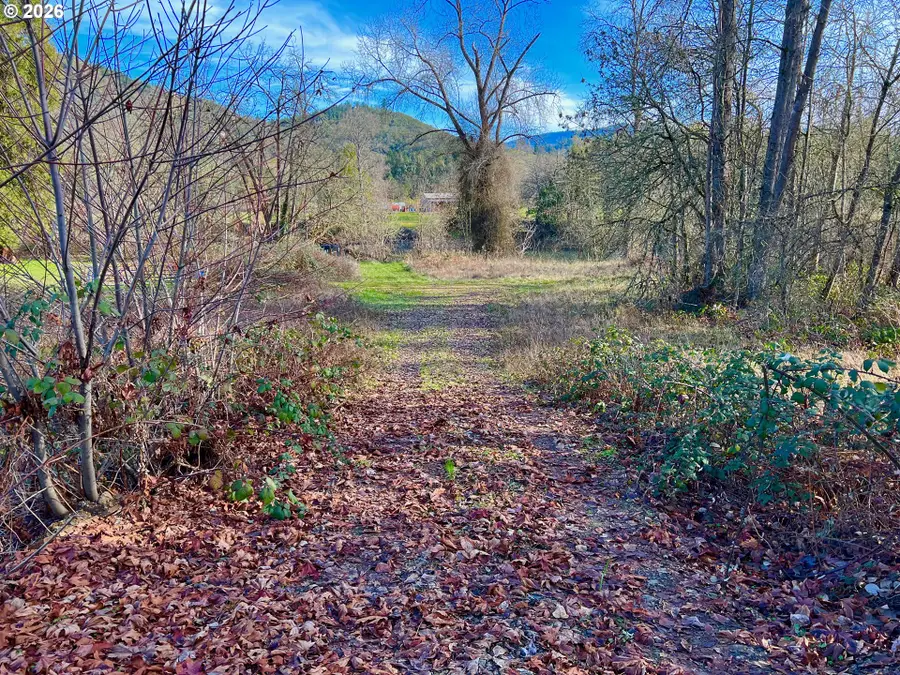 S Old Highway 99 S, Tenmile, OR 97457 - Image #2