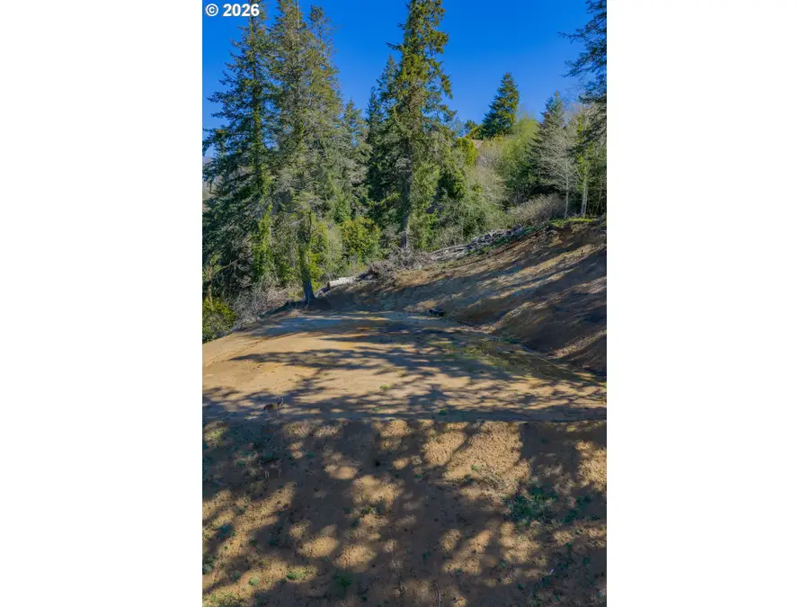 63539 Andrews Rd, Bunker Hill, OR 97420 - #3