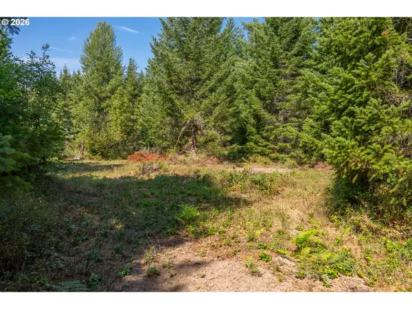 Hawk Meadows Rd #2, Carson, WA 98610