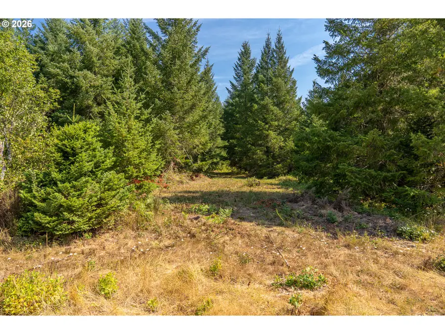 Hawk Meadows Rd #2, Carson, WA 98610 - #2