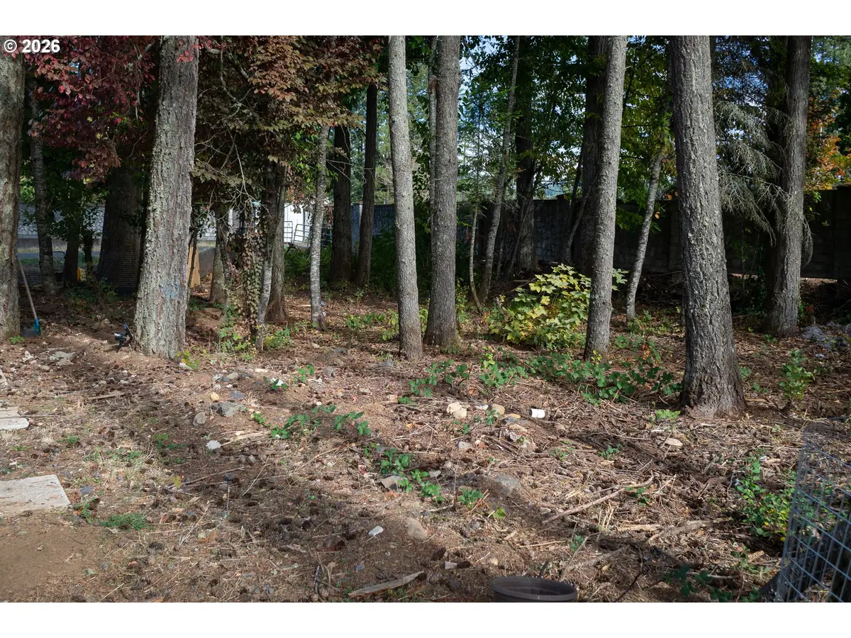 Nandiana St., Sweet Home, OR 97386 - #1