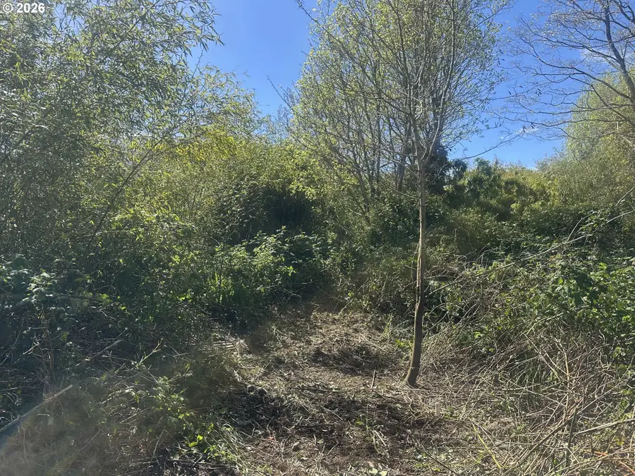 531 8th St, Port Orford, OR 97465 - #3