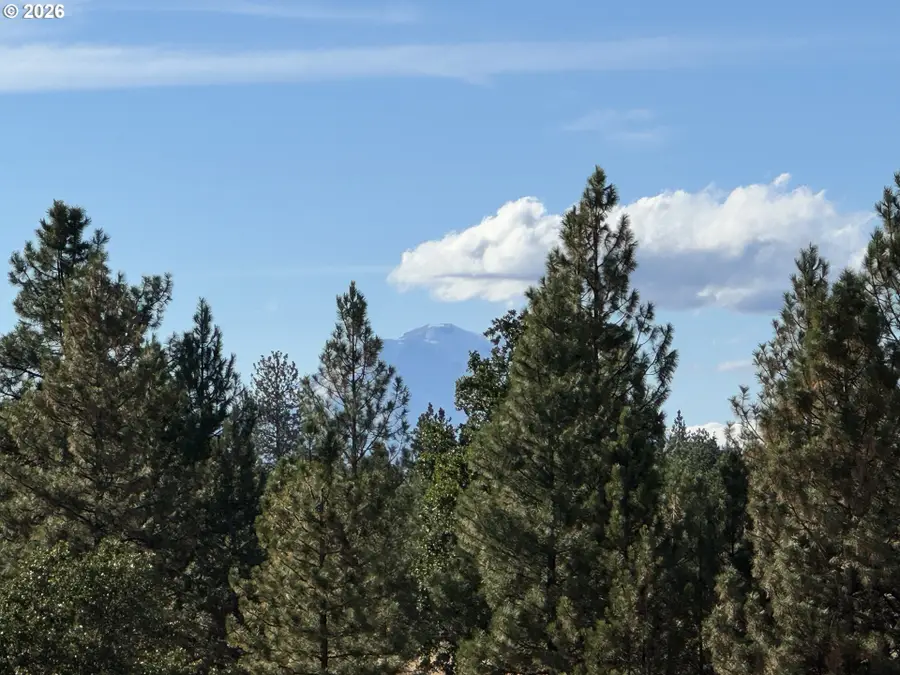 Horst Ln, Goldendale, WA 98620 - #3
