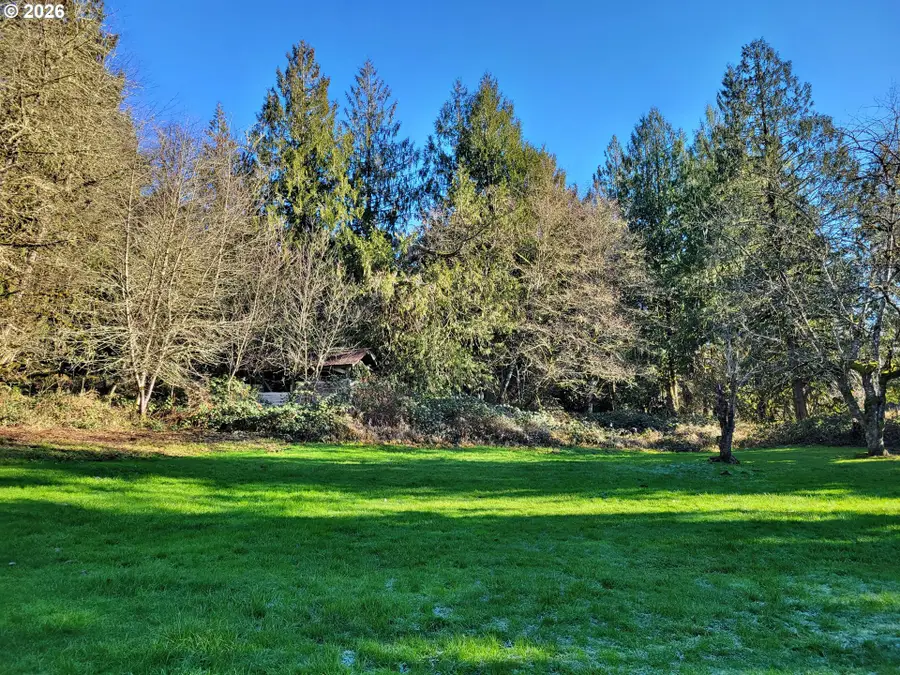 301 Winston Creek Rd, Mossyrock, WA 98564 - #3