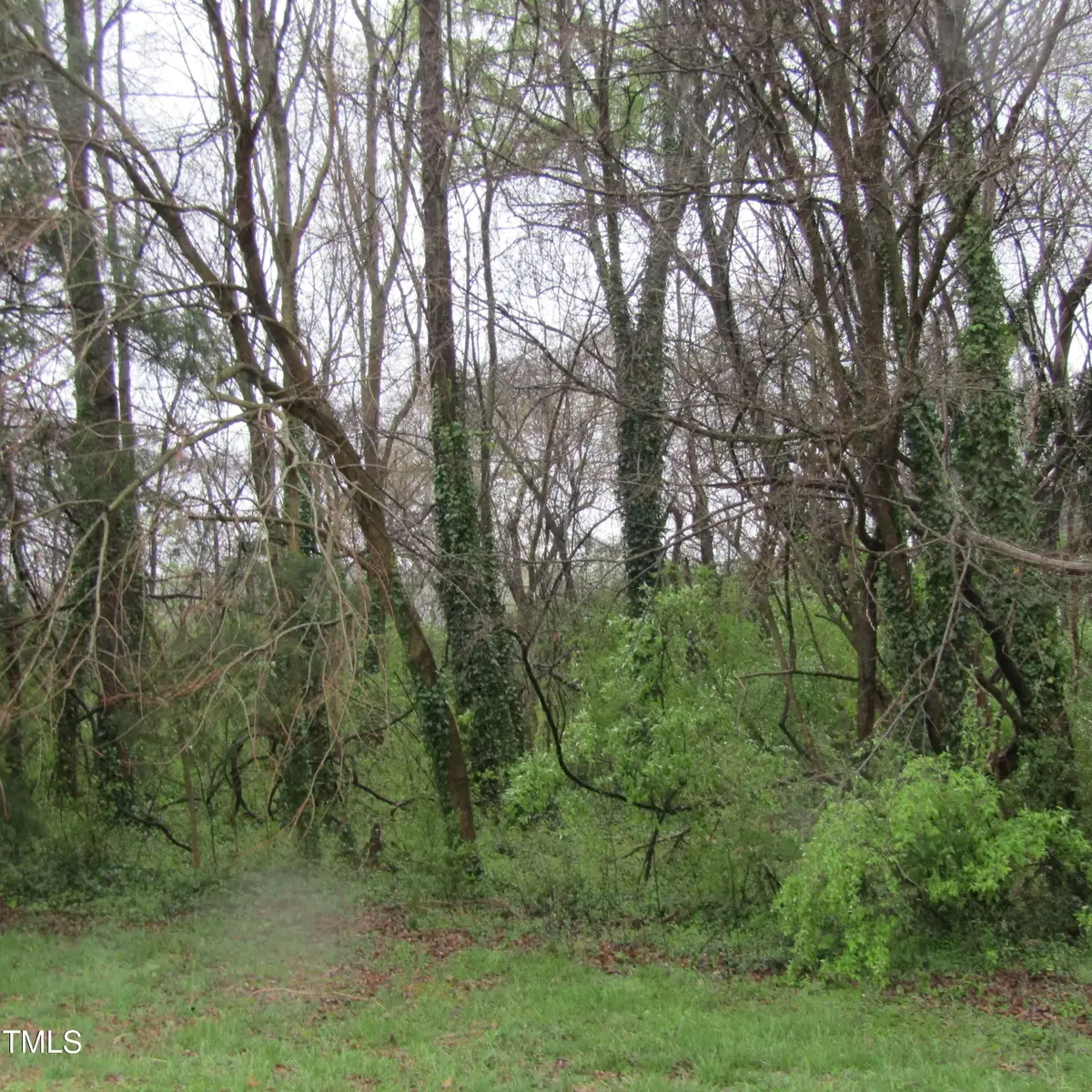 5171 Starmount Road, Liberty, NC 27298 - Image #1