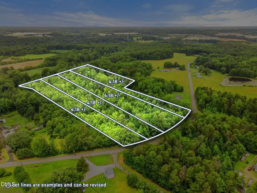 4401 Hines Chapel Road, McLeansville, NC 27301 - #3