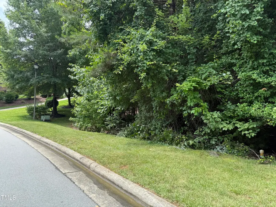 533 Bear Tree Creek, Williams, NC 27517 - Image #3