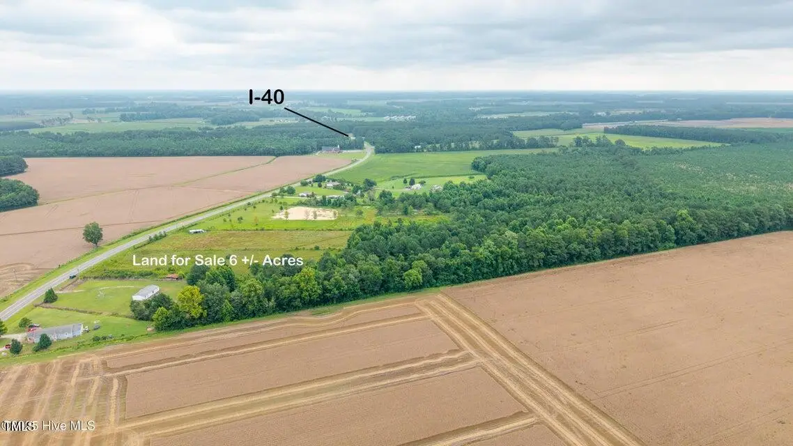 0 Suttontown Road, Newton Grove, NC 28366 - Image #1