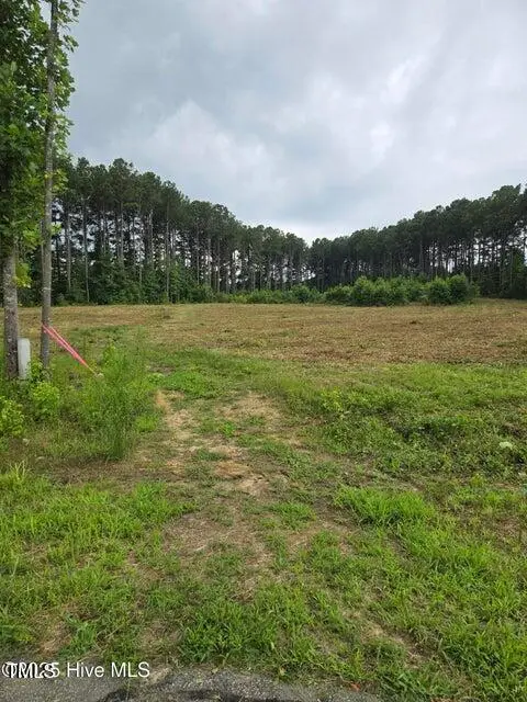 Lot 51 Roseheath Court, Bailey, NC 27807 - Image #1