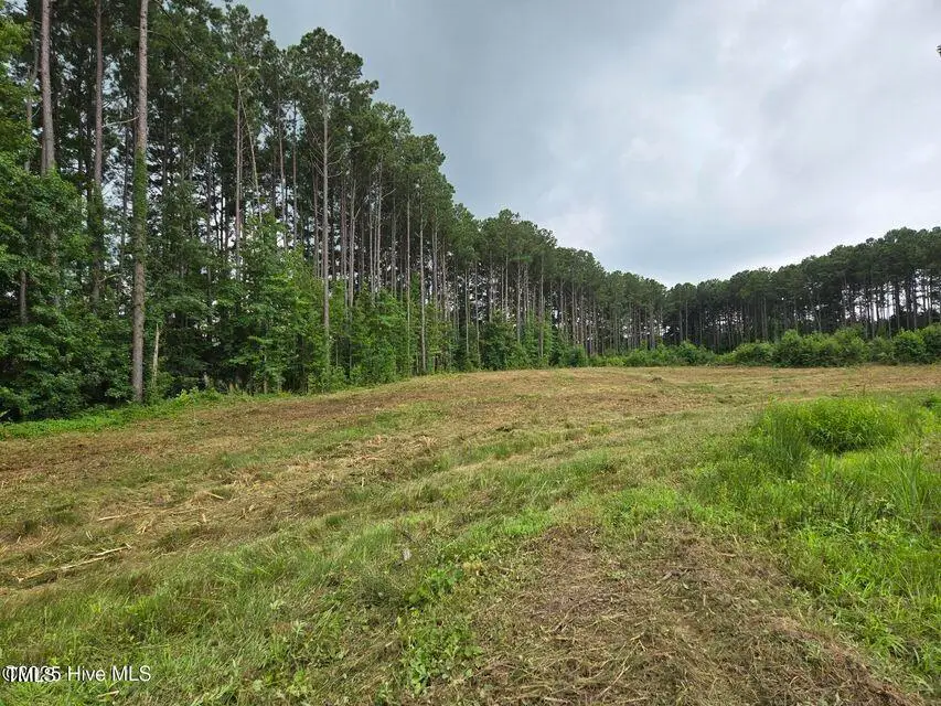Lot 50 Roseheath Court, Bailey, NC 27807 - Image #1