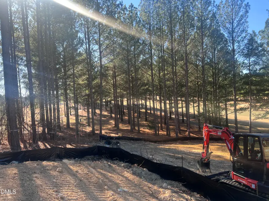 25 Blackhorn Court, Pittsboro, NC 27312 - Image #2