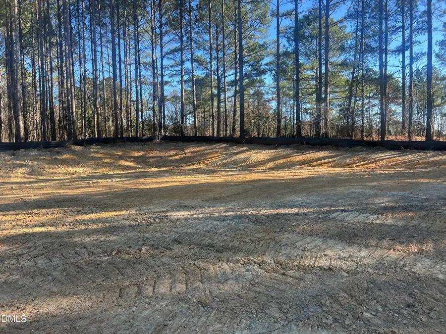 25 Blackhorn Court, Pittsboro, NC 27312 - Image #3