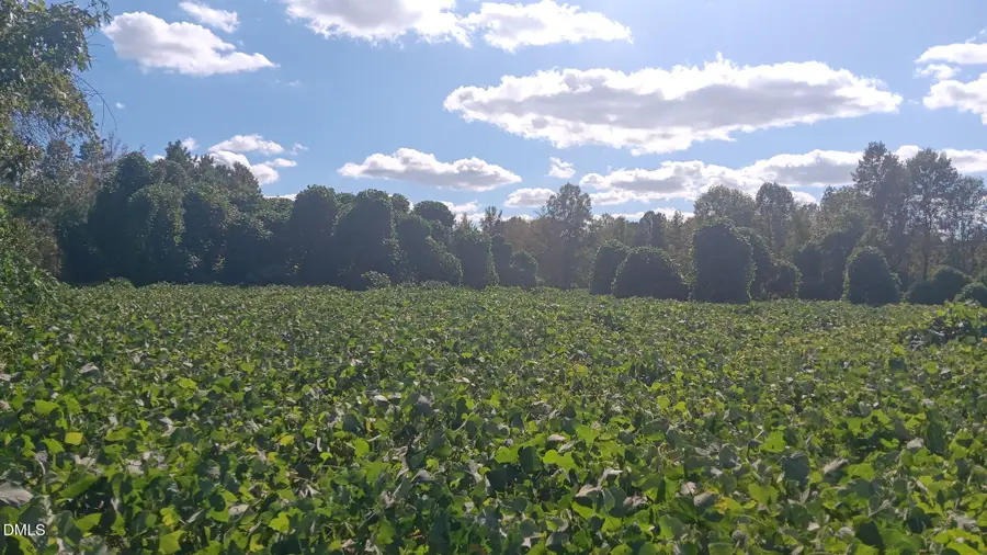 0 Cypress Creek Drive, Louisburg, NC 27549 - Image #3