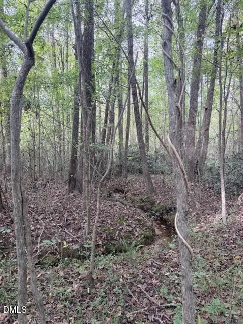 0 W Greensboro Chapel Hill Road, Liberty, NC 27298 - Image #3