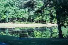 1367 Maryland Court, Sanford, NC 27332 - Image #1