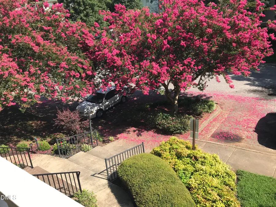 1521 Creekwood Court #203, Raleigh, NC 27603 - Image #3