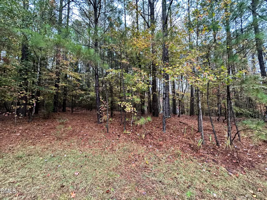 105 Shaman Drive, Louisburg, NC 27549 - Image #3