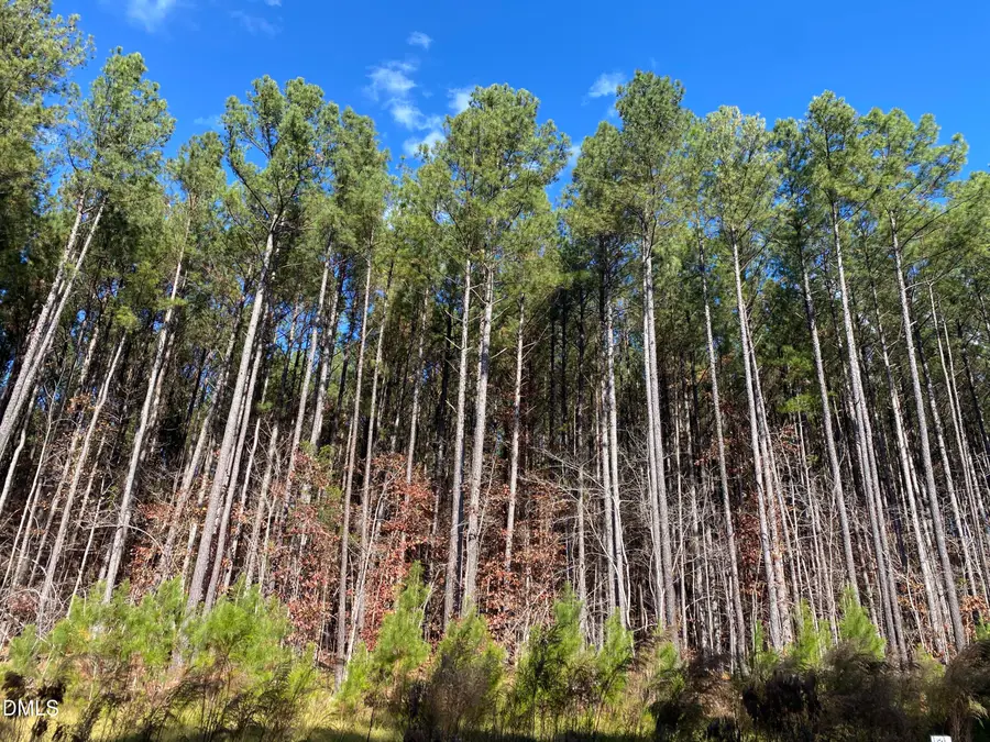 586 Anneliis Lane, Siler City, NC 27344 - Image #3