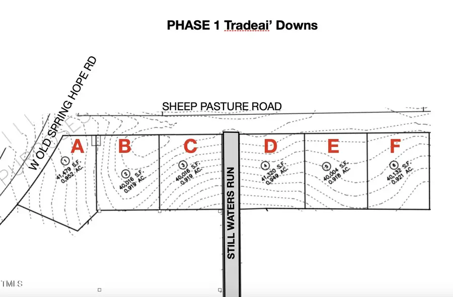 Lot 3 Green Downs Trail, Spring Hope, NC 27882 - Image #2