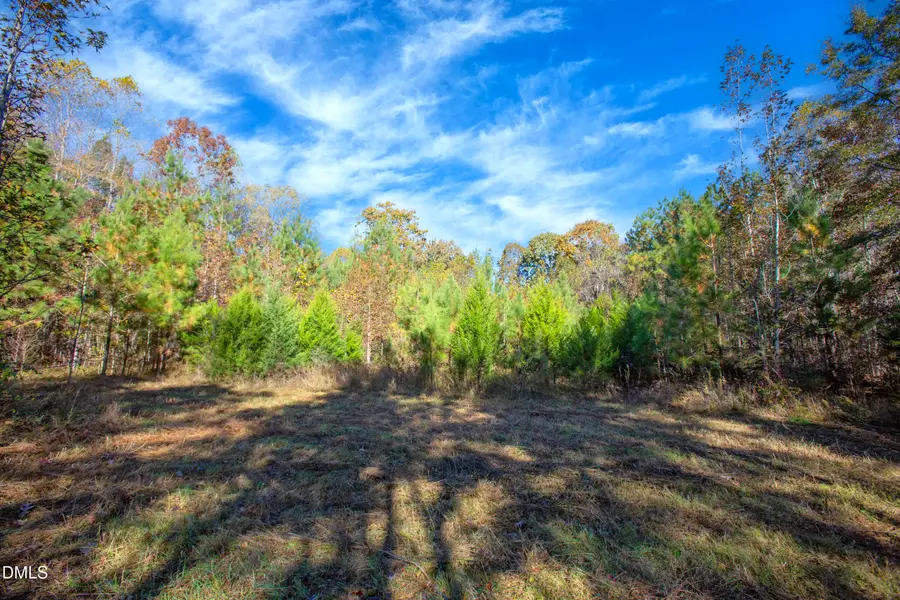 0 Blacks Road, Macon, NC 27551 - Image #3