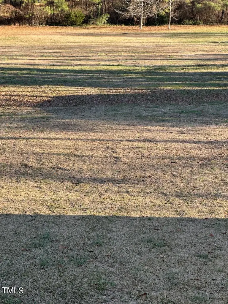 325 Raleigh Street, Holly Springs, NC 27540 - Image #3