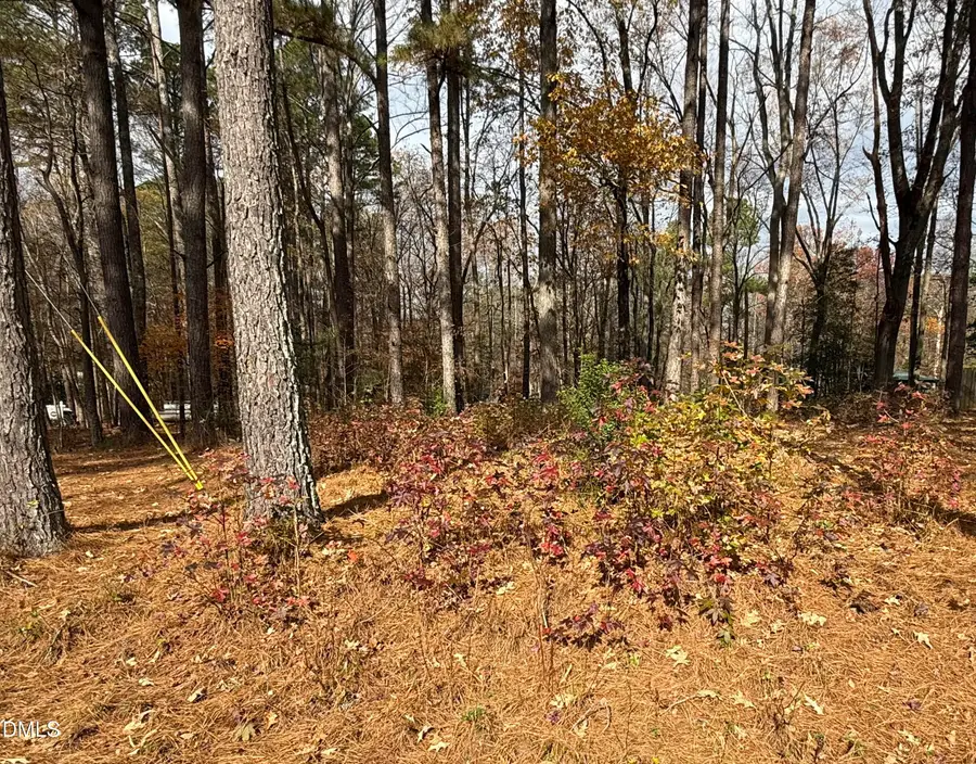 131 Catoose Drive, Louisburg, NC 27549 - Image #2