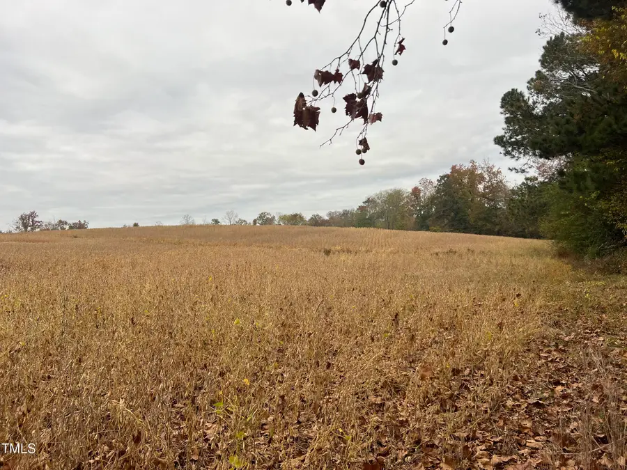 00 Walnut Grove Church Road, Louisburg, NC 27549 - Image #2