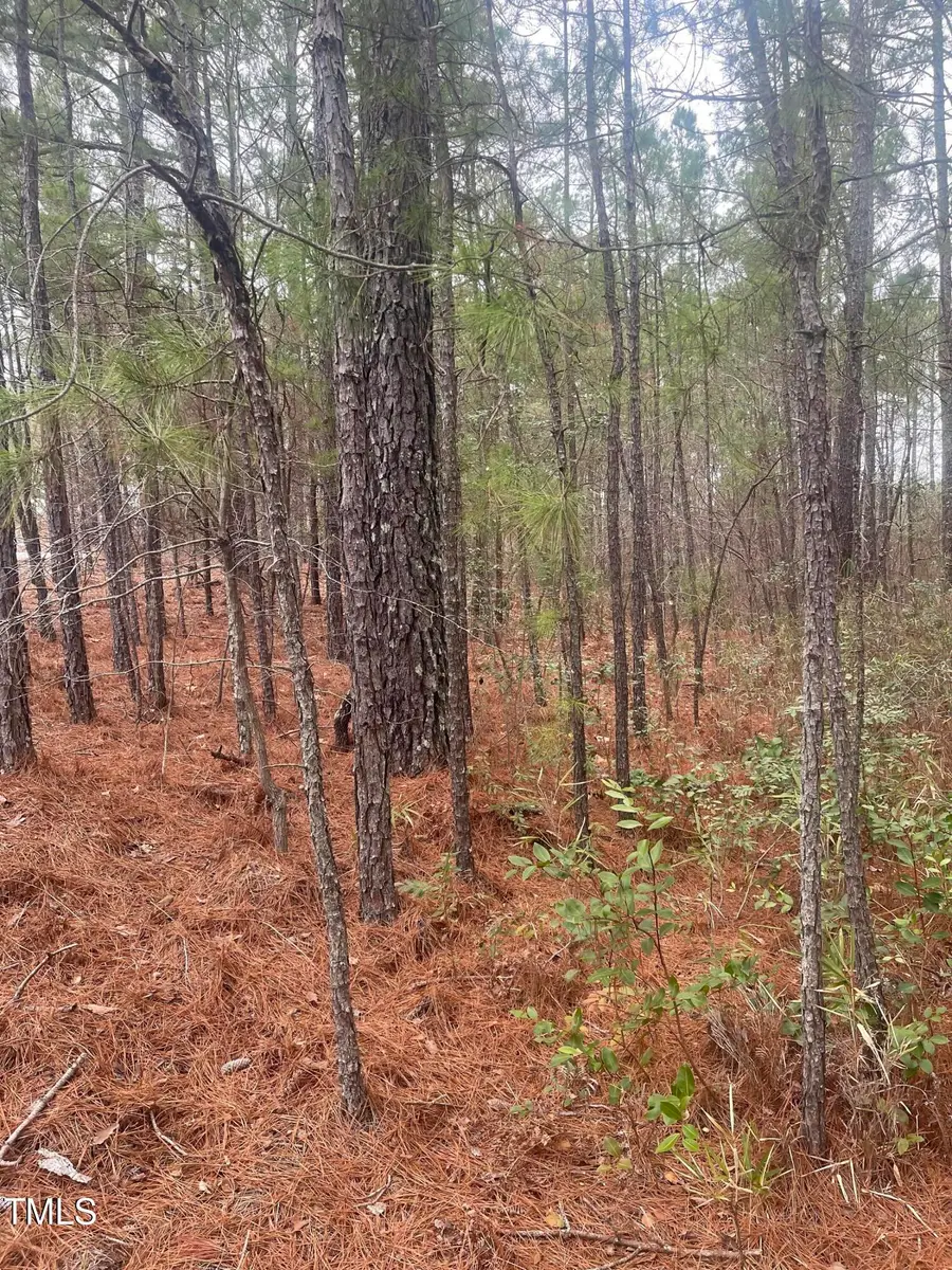 0 Bumpy Lane, Barbecue, NC 27332 - Image #3