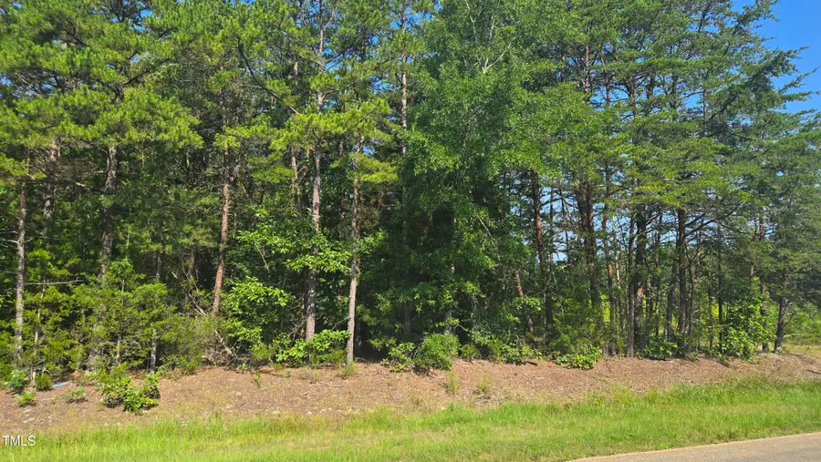 00 Robert Morgan Road, Oxford, NC 27565 - #2